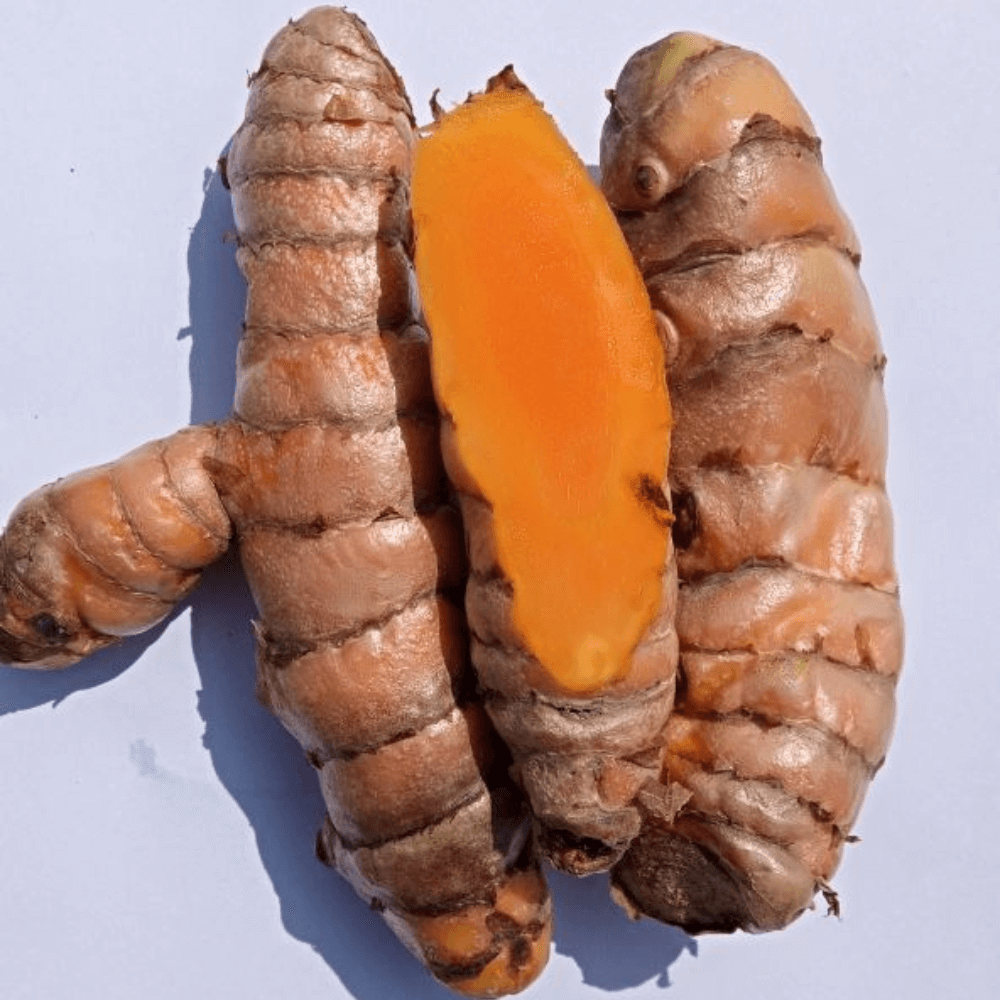 Lakadong turmeric product