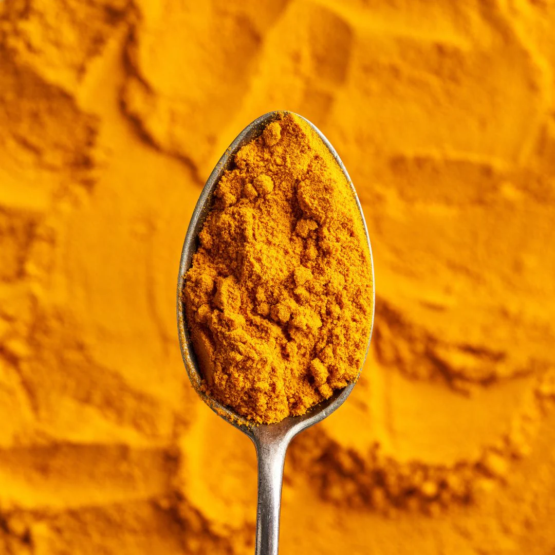 Fine golden turmeric powder premium grade for wholesale supplement manufacturing